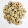 Chinese dried broad beans with export broad beans